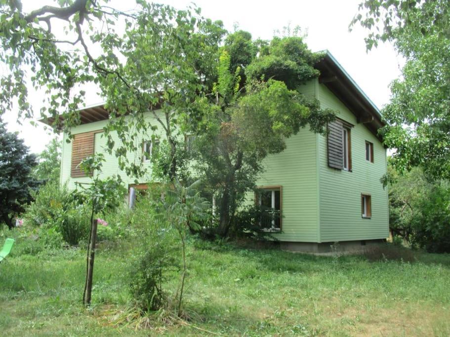 Ferienwohnung Im Gruenen Gottenheim 外观 照片